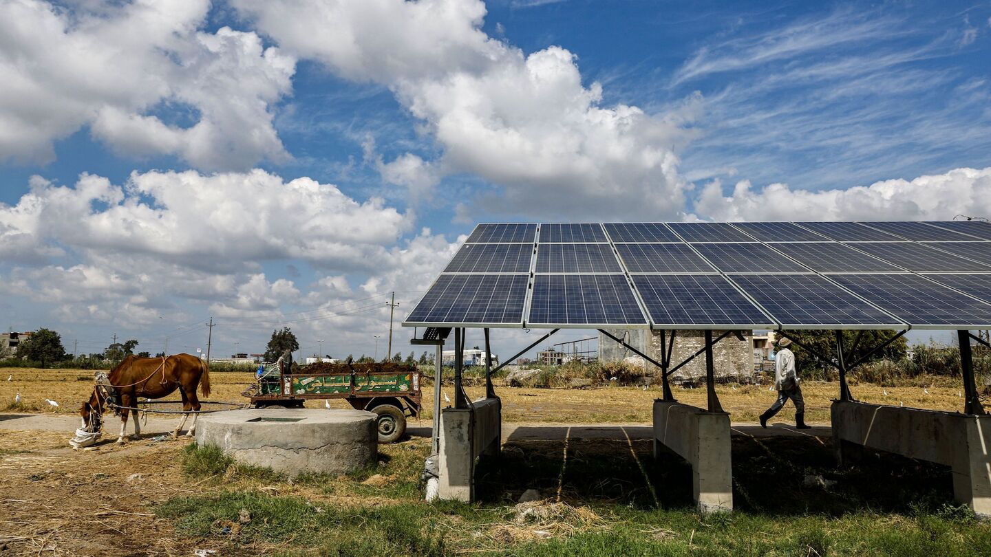 A horse feeds near solar panels used to power irrigation pumps along the Afir agricultural canal near the city of Kafr el-Dawwar in Egypt's northern province of Beheira on October 12, 2022. (Photo by Khaled DESOUKI / AFP) (Photo by KHALED DESOUKI/AFP via Getty Images)