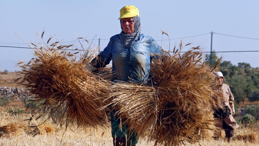 A woman carries wheat crop on a field in Markaba village, southern Lebanon June 30, 2017. REUTERS/Aziz Taher - RC1B91B20F20